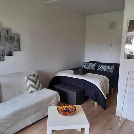 Studio Rdc Calme Avec Parking Ferme Pres Autoroute Et Tram C Μυλούζη Εξωτερικό φωτογραφία