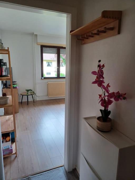 Studio Rdc Calme Avec Parking Ferme Pres Autoroute Et Tram C Μυλούζη Εξωτερικό φωτογραφία